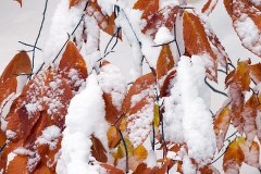 USA: Nowa Anglia pod śniegiem