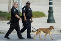 USA: Policja zastrzeliła desperata 