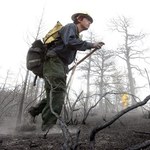 USA: Strażacy opanowali większość pożarów w Kolorado