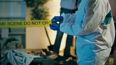 USA: Szukali zaginionej osoby, dokonali strasznego odkrycia