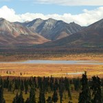 USA: Trzęsienie ziemi na Alasce. Brak ostrzeżeń przed tsunami