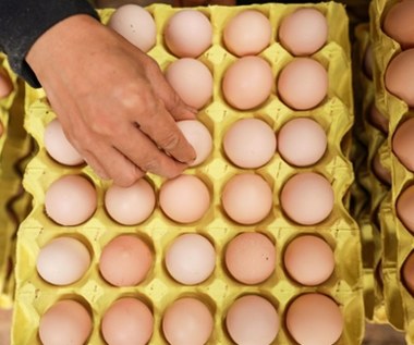 USA: W sklepach brakuje jajek. Ceny gwałtownie rosną