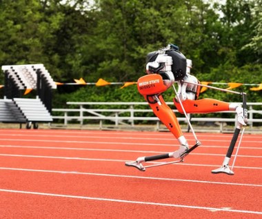 Usain Bolt robotyki! Najszybszy dwunożny robot świata z rekordem Guinnessa