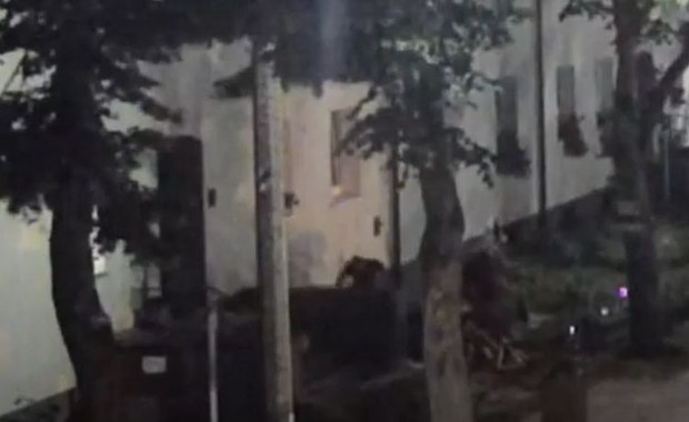 Usiłowanie zabójstwa 34-latki w Wejherowie. Sprawca zatrzymany w Holandii