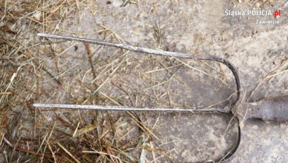 Uśmiercił dwa psy. Mieszkaniec Szczekocin stanie przed sądem