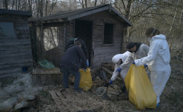 Uśmiercili ponad 250 psów. Pseudohodowcy z zarzutami