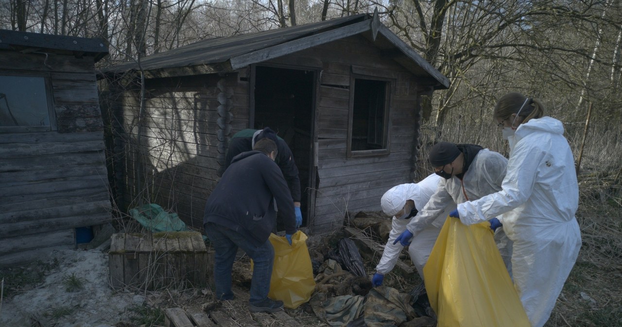 Uśmiercili ponad 250 psów. Pseudohodowcy z zarzutami