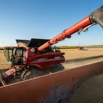 Ustalenia NIK ws. importu zbóż z Ukrainy. Mamy nieoficjalne wyniki kontroli