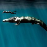 Ustalili długość monstrualnego krokodyla. Naprawdę ogromne zwierzę