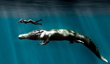 Ustalili długość monstrualnego krokodyla. Naprawdę ogromne zwierzę