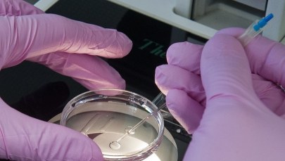 Ustawa o in vitro podpisana. Jeden punkt do TK   