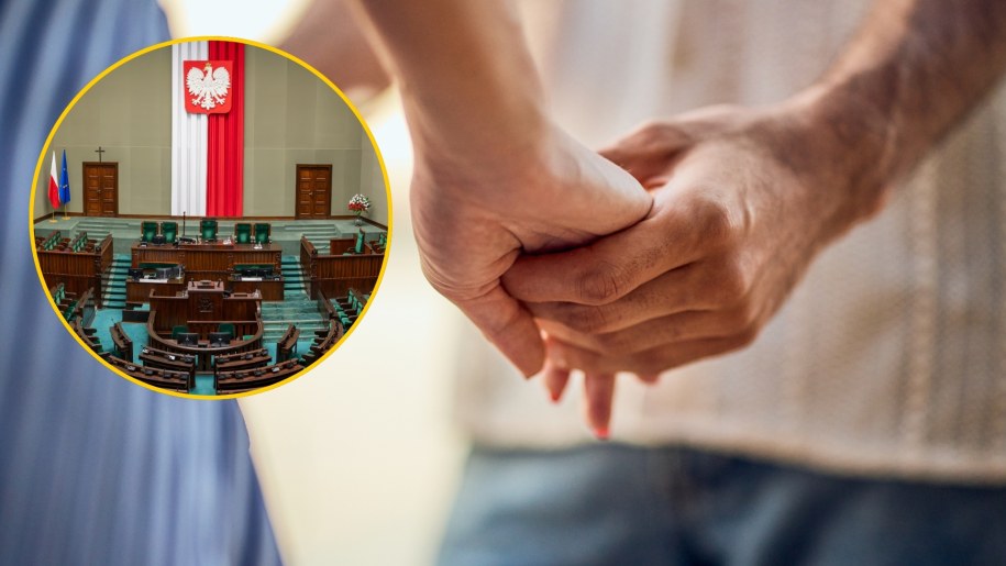 Powołano nową sejmową komisję. Zajmie się spornym projektem