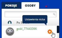 ustawienia nicka /INTERIA.PL