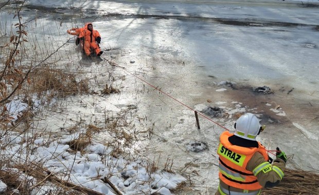 Usuwali drzewa, wpadli do rzeki. Akcja straży pożarnej w Pieniężnie
