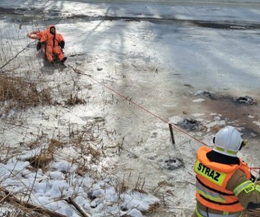 Usuwali drzewa, wpadli do rzeki. Akcja straży pożarnej w Pieniężnie