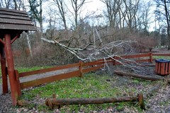 Usuwanie skutków wichury w Szczecinie