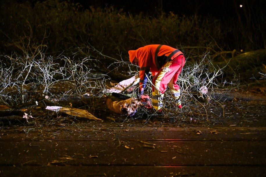 Usuwanie skutków wichury w Szczecinie /	Marcin Bielecki   /PAP