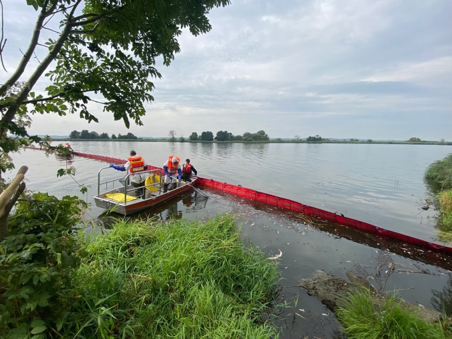 Usuwanie śniętych ryb z Odry /Aneta Łuczkowska /RMF FM