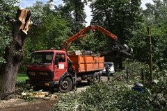 Usuwanie zniszczeń na Plantach w Krakowie 