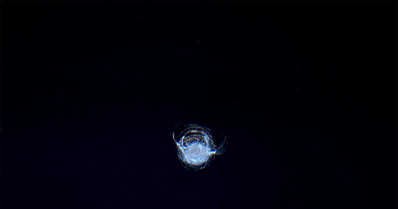 Uszkodzenie szyby na ISS spowodowane jednym malutkim odłamkiem kosmicznego śmiecia /ESA/NASA /domena publiczna