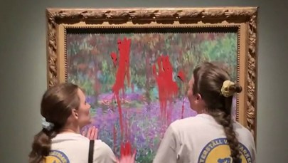 Uszkodzili obraz Claude'a Moneta. Aktywiści usłyszeli wyrok