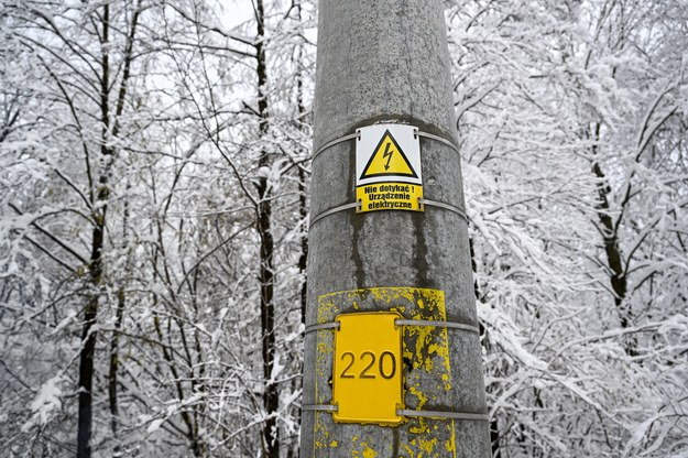 Uszkodzona linia energetyczna w lesie w rejonie Śliwnicy /Darek Delmanowicz /PAP