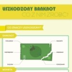 Uszkodzony banknot. Co z nim zrobić? (infografika)