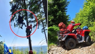 Utknął na drzewie. Nietypowa akcja ratunkowa w Beskidach