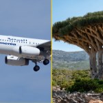 Utknęli na oceanicznej wyspie. 609 turystów ewakuowanych z Sokotry