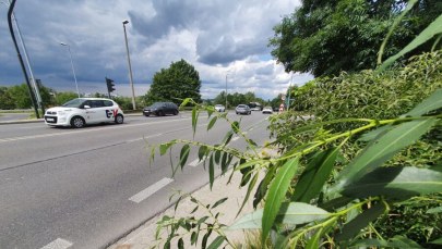 Utrudnienia na ważnej arterii Krakowa. Kierowcy muszą przygotować się na zmiany