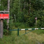 Lasy Państwowe Utwardzona droga wiedzie do lasu. Czy można nią jechać czy będzie mandat?