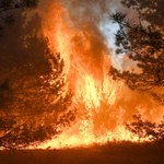 Uwaga! Ekstremalnie duże zagrożenie pożarowe w lasach