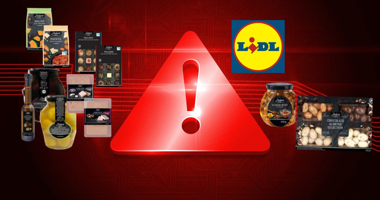 Uwaga! Kilkadziesiąt nowych produktów w Lidlu i większość w promocji /Canva Pro /INTERIA.PL