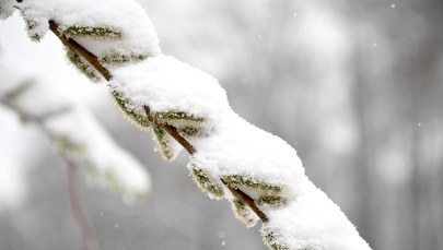 Uwaga na intensywne opady śniegu. IMGW wydał alerty