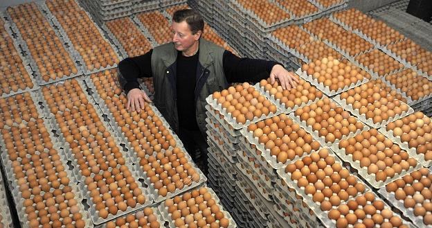Uwaga na jaja z wolnego wybiegu? /AFP