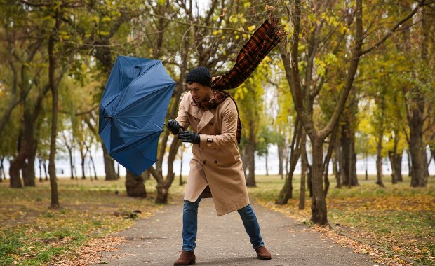 Uwaga na silny wiatr. Alerty pierwszego i drugiego stopnia