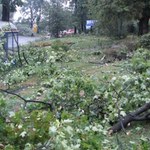 Uwaga na silny wiatr! Kilka tysięcy mieszkańców na Pomorzu i Podlasiu nie ma prądu