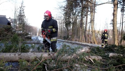 Uwaga na silny wiatr! Wydano ostrzeżenia dla kilku województw
