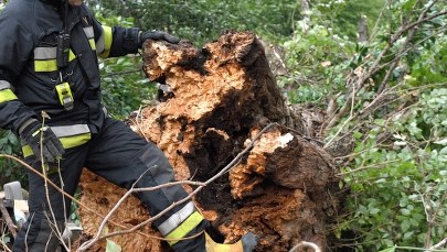 Uwaga na wichury! Ranne 5-letnie dziecko