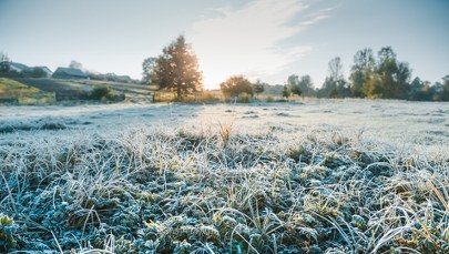 Uwaga przymrozki! Ostrzeżenie IMGW dla 9 województw