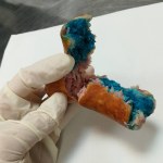 Uwaga właściciele czworonogów! W Komorowie zastawiono pułapki na psy