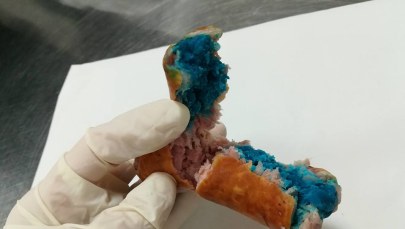 Uwaga właściciele czworonogów! W Komorowie zastawiono pułapki na psy