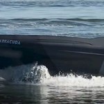Uwiecznili na zdjęciu Barracudę. Ten potwór atakuje Rosjan na plażach