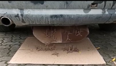 ​Uzbroili auto w ukryte kolce, było gotowe do przewiezienia kontrabandy