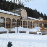 Uzdrowisko i imponująca ścieżka w koronach drzew. Kuracjusze uwielbiają to miejsce 