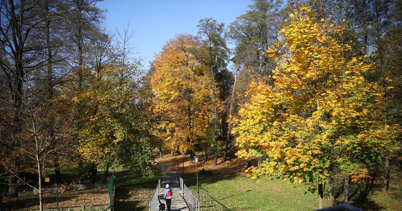 Uzdrowisko Kraków Swoszowice posiada Park Zdrojowy, który prezentuje się jesienią niezwykle malowniczo. /East News