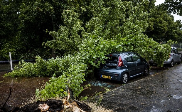 Uziemione samoloty, wstrzymane pociągi. Poly szaleje w Holandii