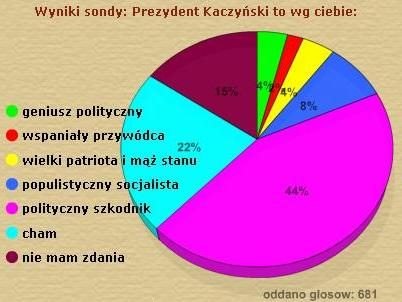 Użytkownicy gry Farmersi źle oceniają postać prezydenta Kaczyńskiego /INTERIA.PL