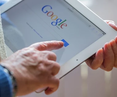 Użytkownicy internetu czują "lęk klimatyczny". Widać to w Google