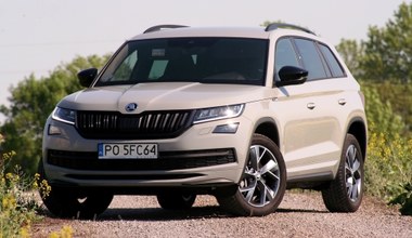 Używana Skoda Kodiaq (2016-2023). Silniki, usterki, opinie, ceny